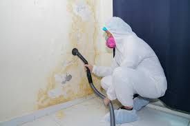 Environmental Consulting for Mold Prevention in Waterville, WA